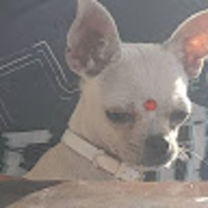 Meet your Posher, Jeremy